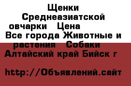 Щенки Среднеазиатской овчарки › Цена ­ 30 000 - Все города Животные и растения » Собаки   . Алтайский край,Бийск г.